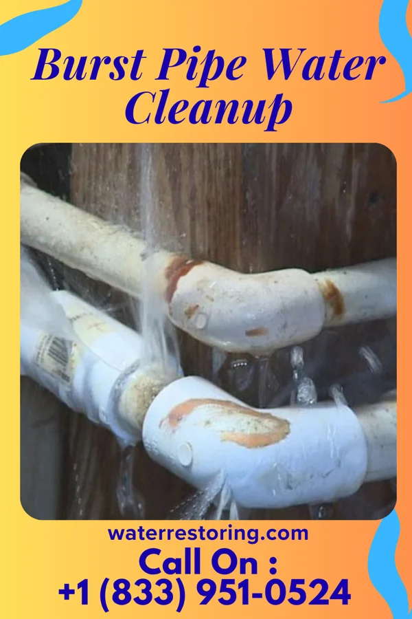 Burst Pipe Water Cleanup in Minersville, PA
