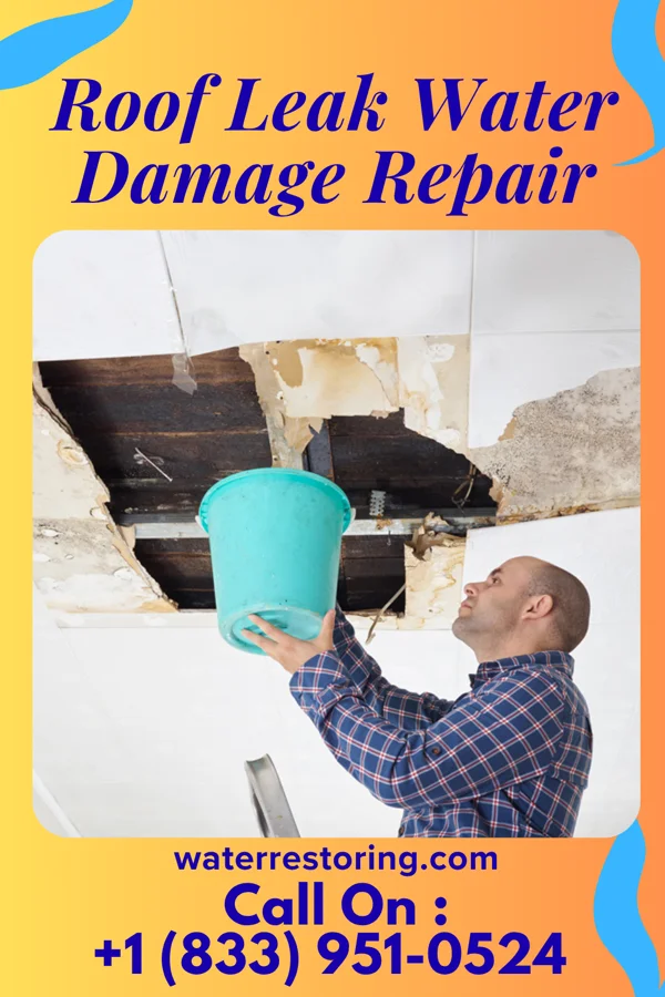 Roof Leak Water Damage Repair in Minersville, PA