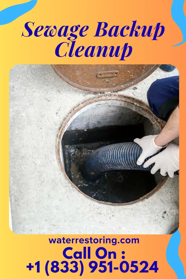 Sewage Backup Cleanup in Minersville, PA