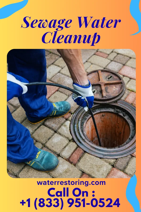 Sewage Water Cleanup in Minersville, PA