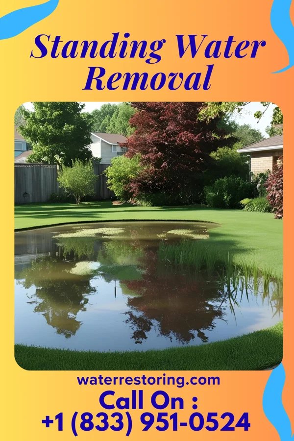 Standing Water Removal in Minersville, PA